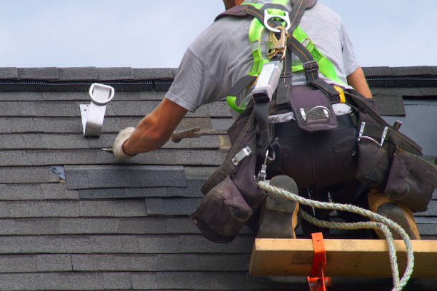 Roof Gutter Cleaning in Sidney, IL