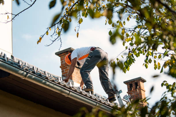 Best Best Roofing Contractors  in Sidney, IL