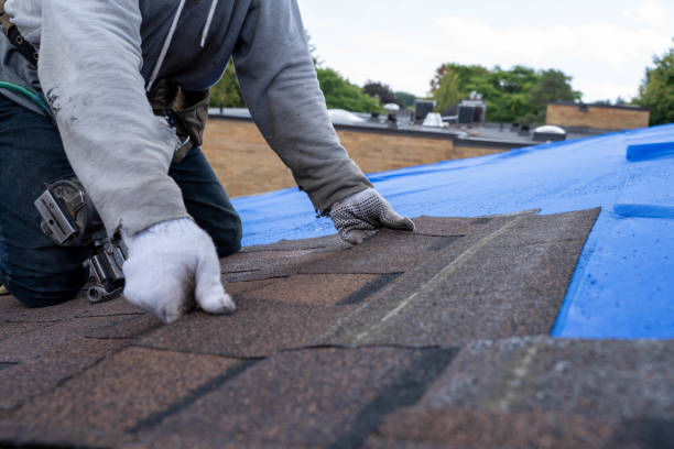 Best Local Roofing Companies  in Sidney, IL