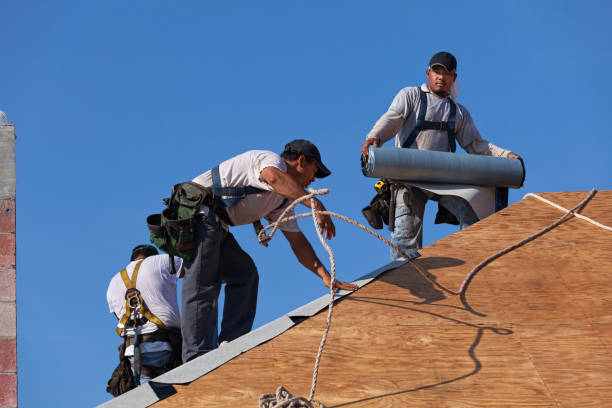 Best Shingle Roofing Installation  in Sidney, IL