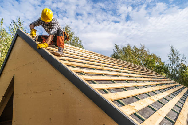 Best Roof Replacement Cost  in Sidney, IL