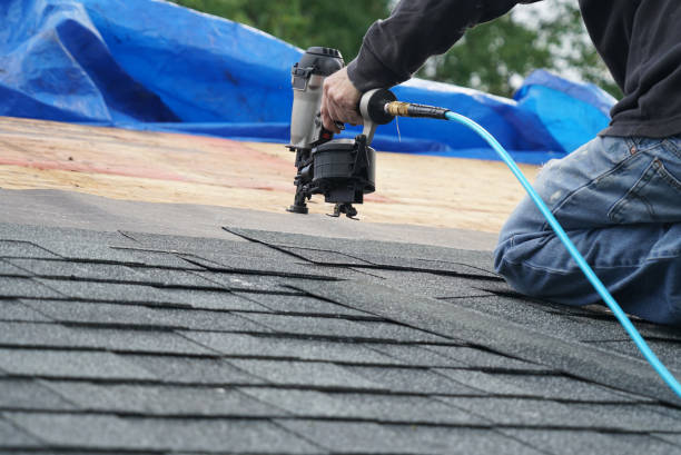 Best Roof Gutter Cleaning  in Sidney, IL