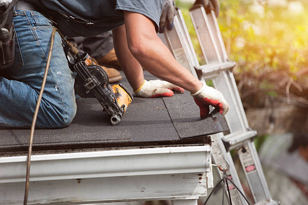 Best Roof Restoration Services  in Sidney, IL
