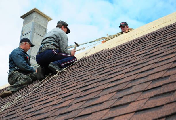 Best Commercial Roofing Services  in Sidney, IL